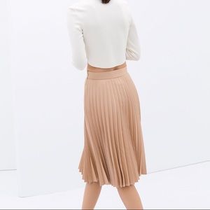 Pleated Zara Skirt